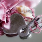 Hoje abri meu coração: uma incisão do lado esquerdo